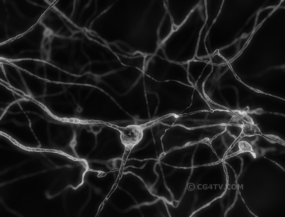 Black & White. 3D visualization of neurons and neuronal networks inside the 