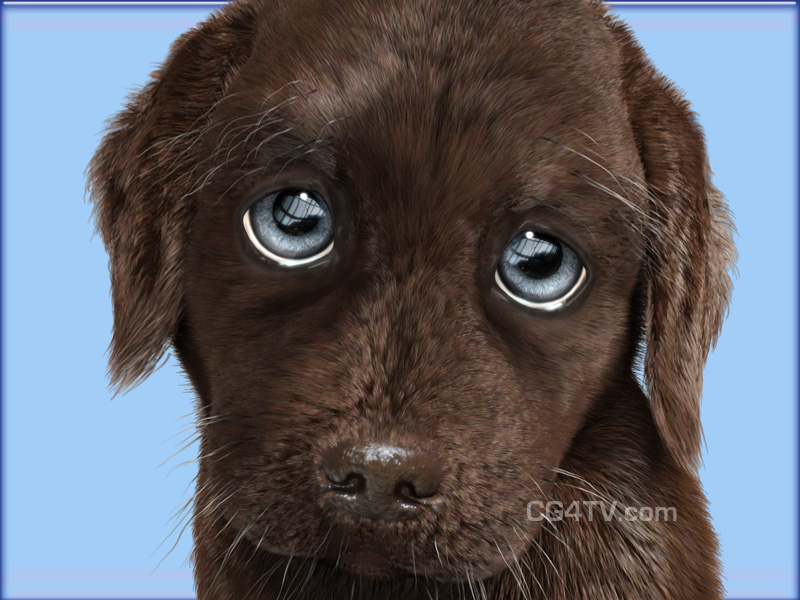3D chocolate-colored Labrador puppy character for magazine advertising